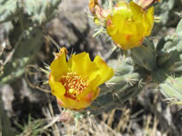 Southwest US Photo