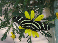 Southwest US Photo