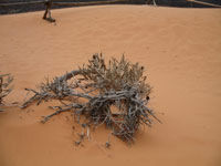 Southwest US Photo